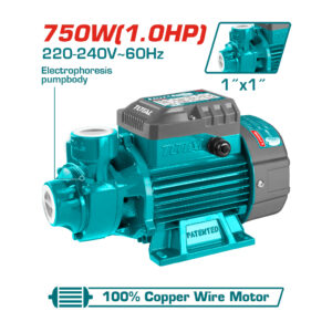 Bomba p/agua 1" 1.0HP 50L/min TWP17506-5